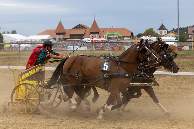 球迷对这笔 球迷对这笔