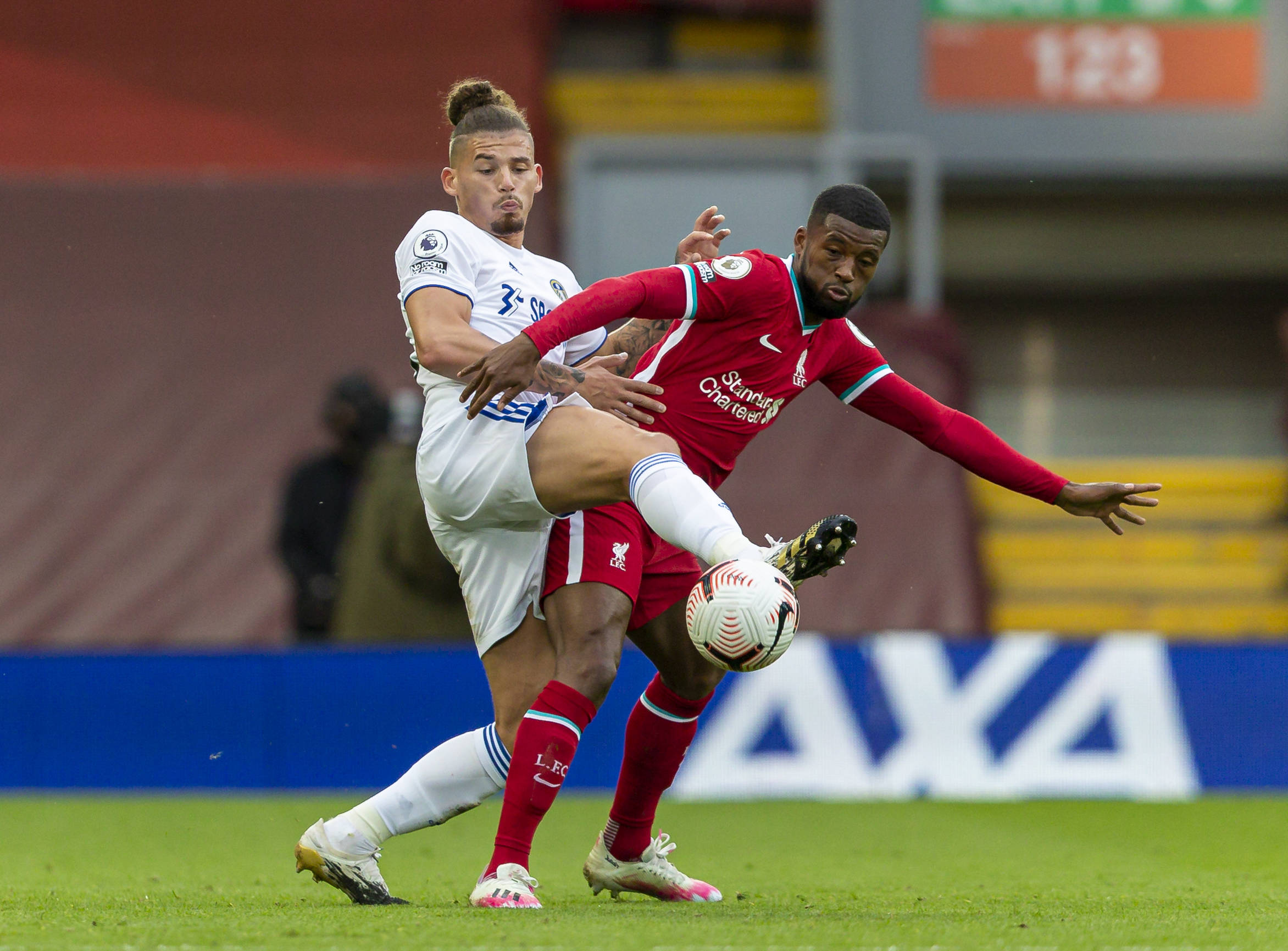 自亮相以来 自亮相以来